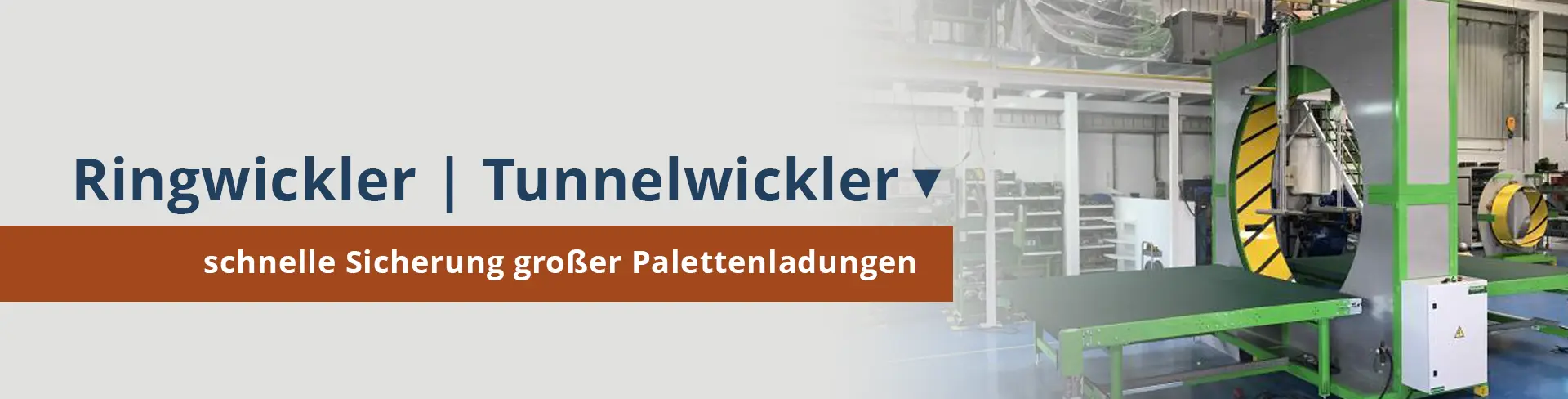 Ringwickler Tunnelwickler Sonderbau